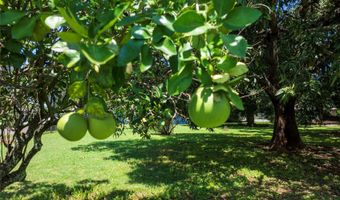66-130 Niuula Rd, Haleiwa, HI 96712