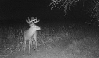 00000 CR 140, Alexander, KS 67513