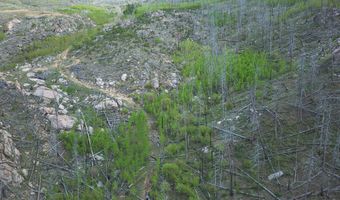 3839 Davis Ranch Rd, Bellvue, CO 80512