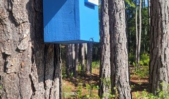 121 BAYTREE Rd, Alma, GA 31510