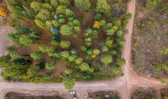 COUNTY ROAD 2196, Alpine, AZ 85920