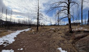 2025 Granite Rd, Bellvue, CO 80512
