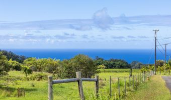 29-605 CHIN CHUCK Rd, Hakalau, HI 96710