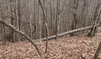 Toole Creek Road, Abingdon, VA 24210