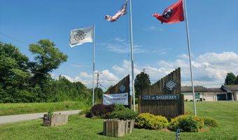 3347 Mountain View Ln, Baneberry, TN 37890