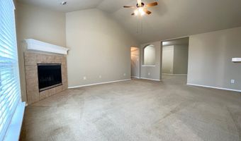 233 Niagara Falls Dr, Anna, TX 75409