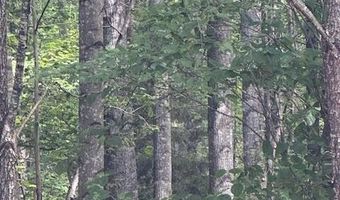 0- Lot 5 Piney Mountain Rd, Appomattox, VA 24522