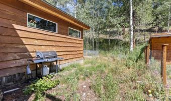 665 Lower Travis Gulch Rd, Black Hawk, CO 80422