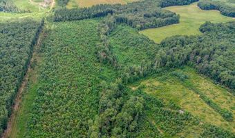 62- Acres Grandmas Hill Rd, Amherst, VA 24521