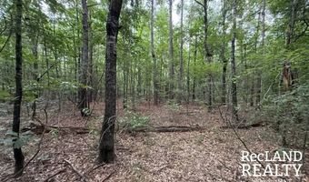 TBD-0 Yeldell Rd, Bastrop, LA 71220