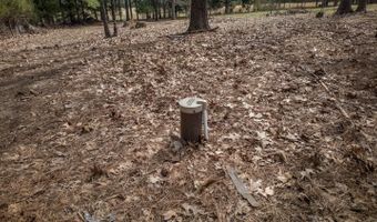 838 Indian Trl, Ash Flat, AR 72513