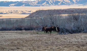 409 Tolman Rd, Clark, WY 82435
