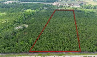 Tract 14 Sanderling, Alma, GA 31510