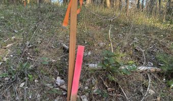 Nna Hanaford Lot 9, Blanchard, ID 83804