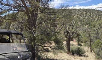 207 A Arizona Rd, Ash Fork, AZ 86320