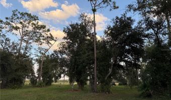 SE TOWNSEND AVENUE, Arcadia, FL 34266