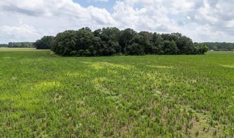 30 Acres Oneal Rd, Athens, AL 35614
