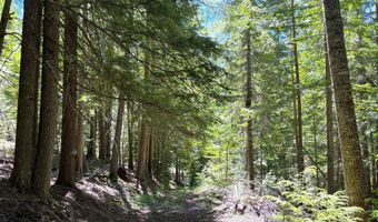 2216 Mosquito Creek Rd, Clark Fork, ID 83811