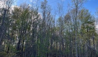 Fox Ridge 1-A Lane, Allenton, MI 48002