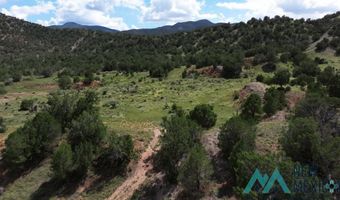 Tbd Mauer Drive, Bent, NM 88314