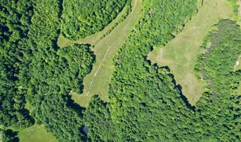 1235 Long Branch-Land, Beattyville, KY 41311