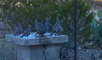 200 Lake Ament Rd, Alpine, TX 79830