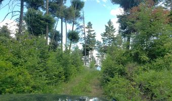 Arlee Pines lot 21, Arlee, MT 59821