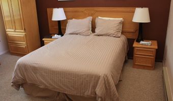 232 W Hyman Avenue Unit # 4 Wks 10 20 And # 8 Wk 43 #4 (Wks 10,20) And #8 (Wk 43), Aspen, CO 81611