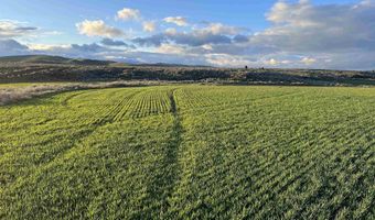 000 10 Mile Pass Rd, Bancroft, ID 83217