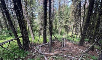 Tbd Hilltop Road 43 & 44, Cascade, ID 83611