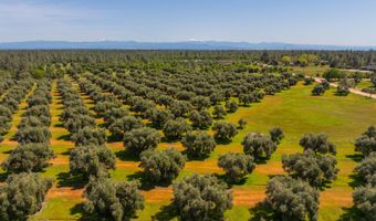 16770 Scout Ave, Anderson, CA 96007