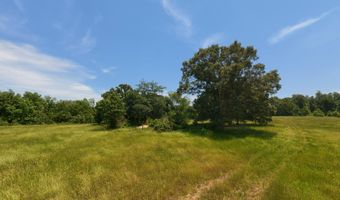 County Road 113, Alton, MO 65606