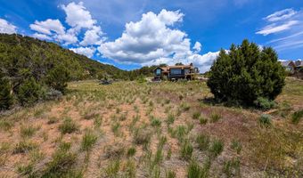 117 Paintbrush Way, Glenwood Springs, CO 81601