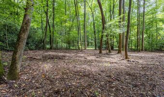 1034 Chestnut Flats Rd, Andrews, NC 28901