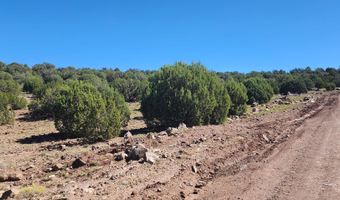 85 N 8522, Concho, AZ 85924