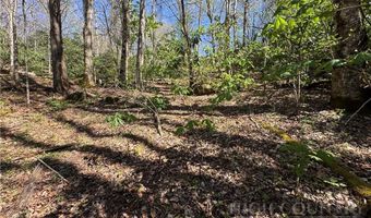 2438 Kellersville Rd, Banner Elk, NC 28604