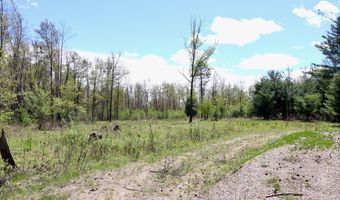 La Grant Road, Alger, MI 48610
