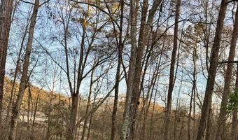 0 Old Furnace Rd, Boiling Springs, SC 29316