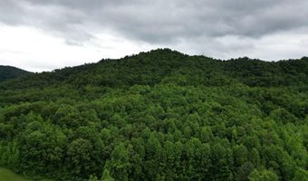 9999 King Fork Rd, Barbourville, KY 40906