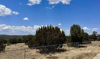52 County Road 8010, Concho, AZ 85924