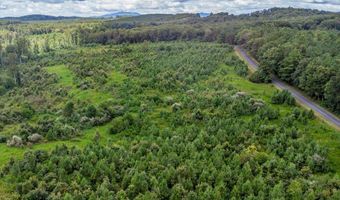 62- Acres Grandmas Hill Rd, Amherst, VA 24521