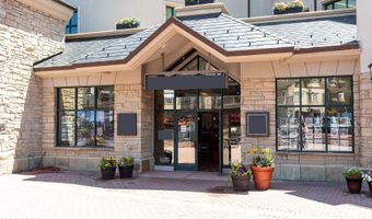 136 E Thomas Place Unit # C-6/7 #C-6/7, Beaver Creek, CO 81620