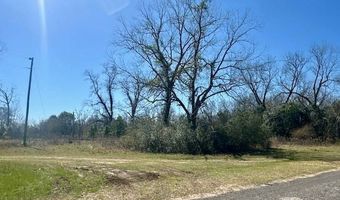 0 Tervin Mill Rd, Andalusia, AL 36421