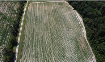 650 Pate St, Ashford, AL 36312