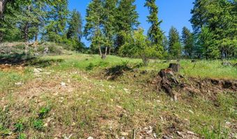 NNA Cape Horn Dr, Bayview, ID 83803