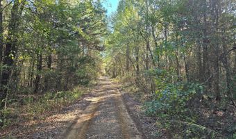 TBD Raw Land, Bates, AR 72958