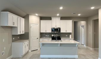 317 Tartane Dr, Anna, TX 75409