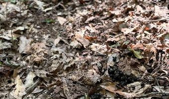 0 Military Rd, Beaverton, AL 35544