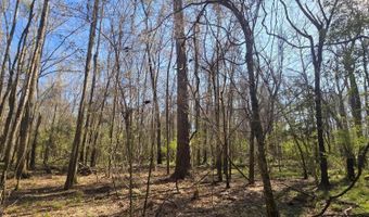 Bogue Chitto Road, Bogue Chitto, MS 39629