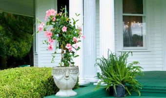 620 Barlow St, Americus, GA 31709